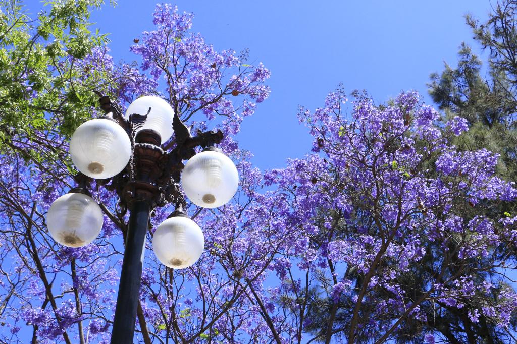 VILLA DE POZOS RENUEVA ALUMBRADO PÚBLICO DE ACCESO&nbsp;PRINCIPAL