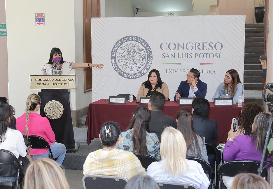 SAN LUIS POTOSÍ PODRÍA CONVERTIRSE EN LA ENTIDAD NÚMERO 14 EN EL PAÍS EN CONTAR CON ESTA TIPIFICACIÓN DEL DELITO DE VIOLENCIA&nbsp;ÁCIDA