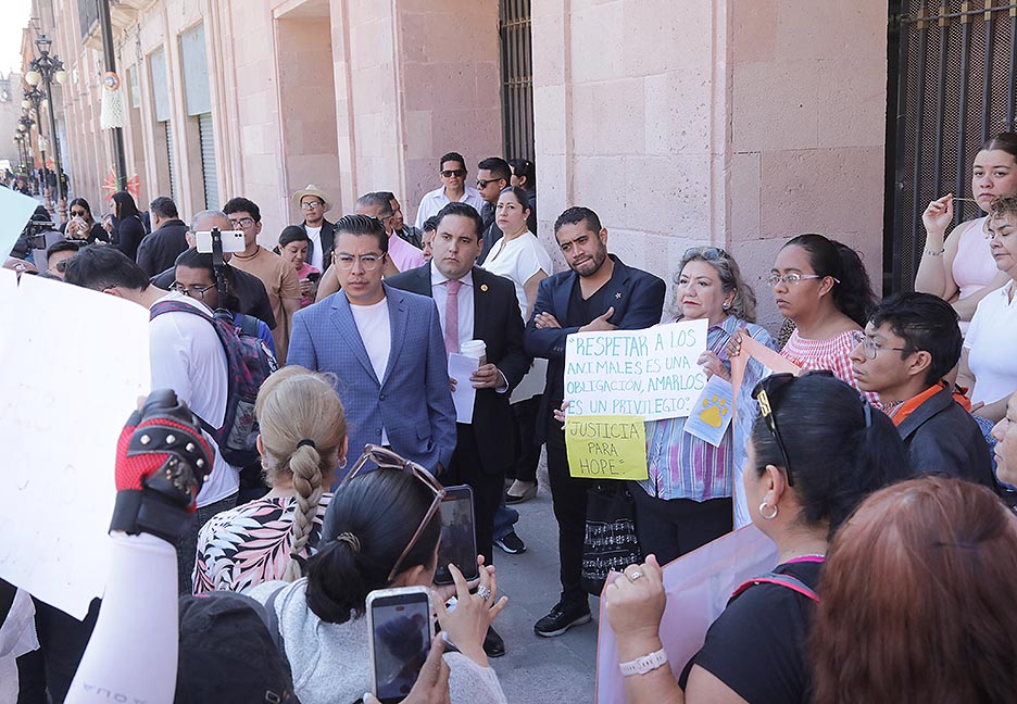 EL CONGRESO DEL ESTADO APOYARÁ A LOS COLECTIVOS PARA REFORMAR LA LEY Y APLICAR SANCIONES MÁS SEVERAS EN CONTRA DE QUIENES MALTRATEN&nbsp;ANIMALES