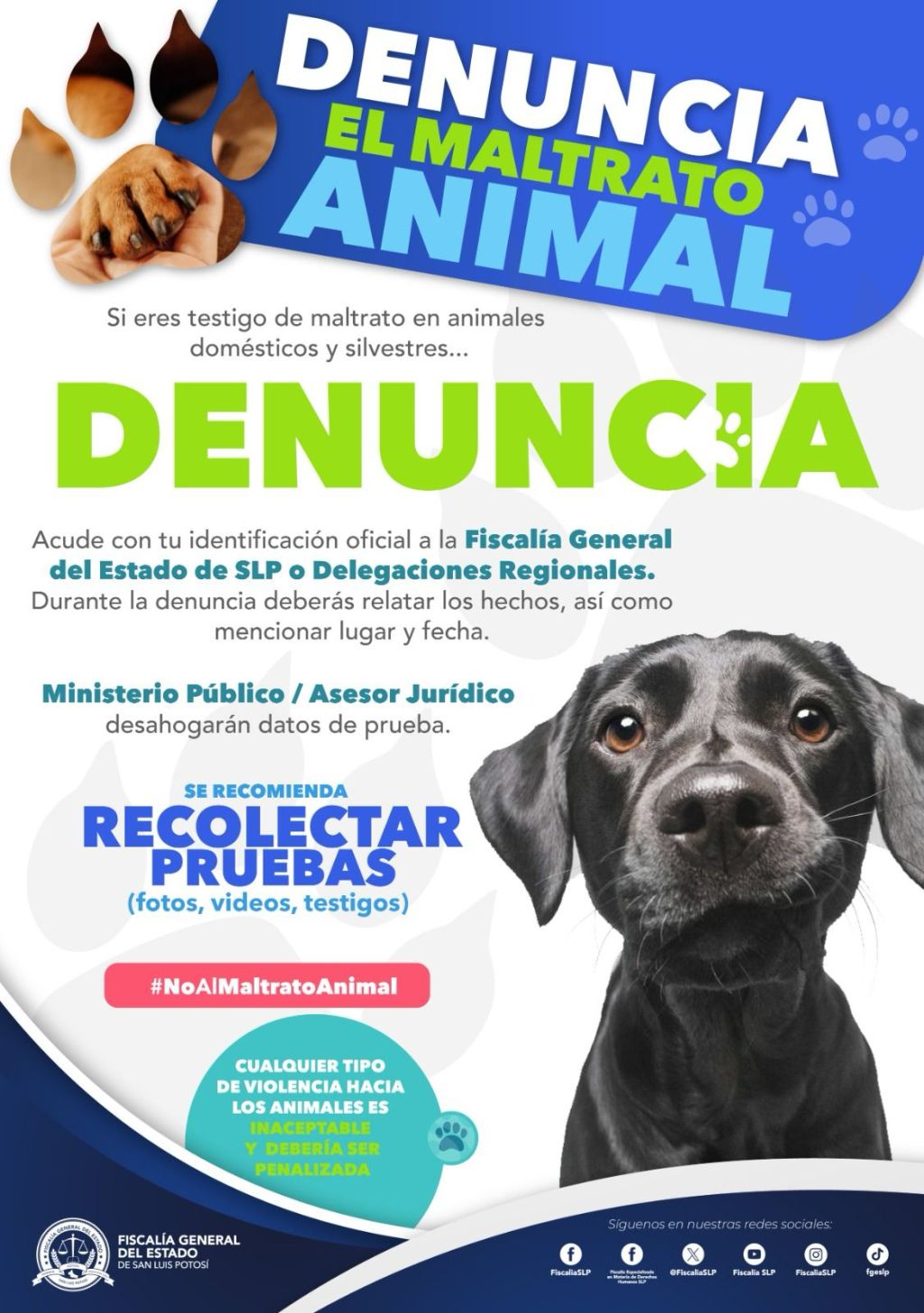 FGESLP ABRE CARPETA DE INVESTIGACIÓN POR MALTRAT0 ANIMAL EN&nbsp;TAMAZUNCHALE