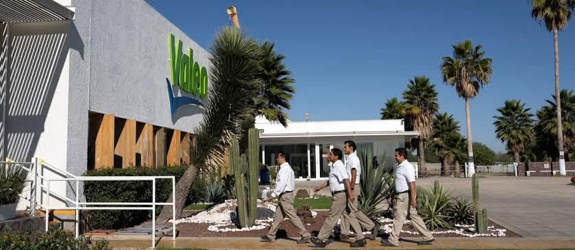 SUPERVISA GOBIERNO ESTATAL CONDICIONES LABORALES DE VALEO