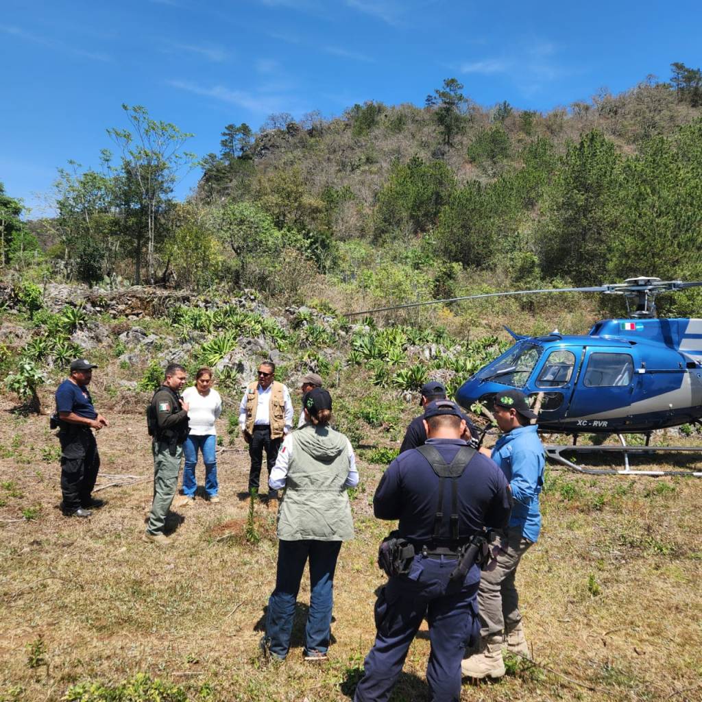 AVANZA COMBATE A INCENDIOS FORESTALES EN EL ESTADO