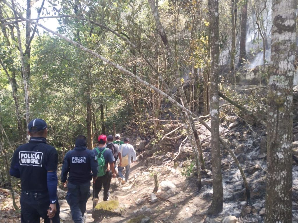 AVANZA CONTROL DE INCENDIOS FORESTALES