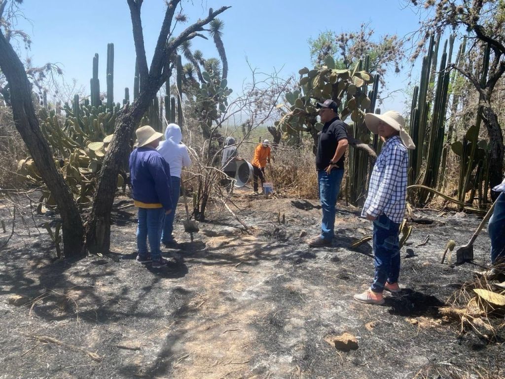 Gobierno de la Capital y Delegación de Bocas atienden incendios de esta&nbsp;temporada