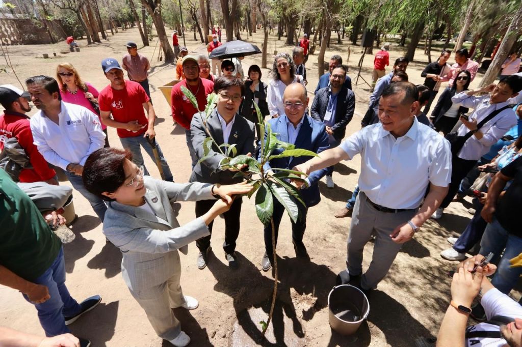 San Luis Capital y la República de Corea, unidos por el Jardín de la&nbsp;Diplomacia