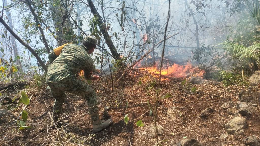 EJERCITO MEXICANO INTENSIFICA COMBATE A INCENDIOS FORESTALES