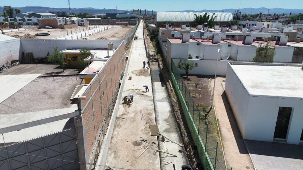 POR CONCLUIR COLECTOR DE CACTUS: SEDUVOP