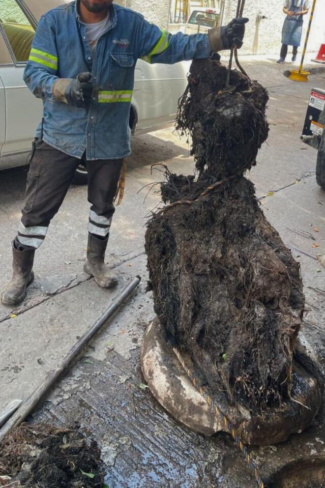 Retira Interapas tapón de raíces, cabellos y basura, de drenaje en Salvador&nbsp;Nava