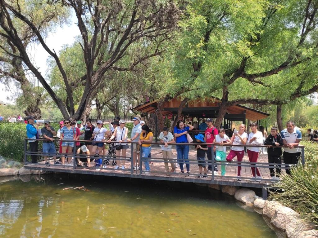 FIN DE SEMANA DE DIVERSIÓN Y DEPORTE EN LOS&nbsp;TANGAMANGA