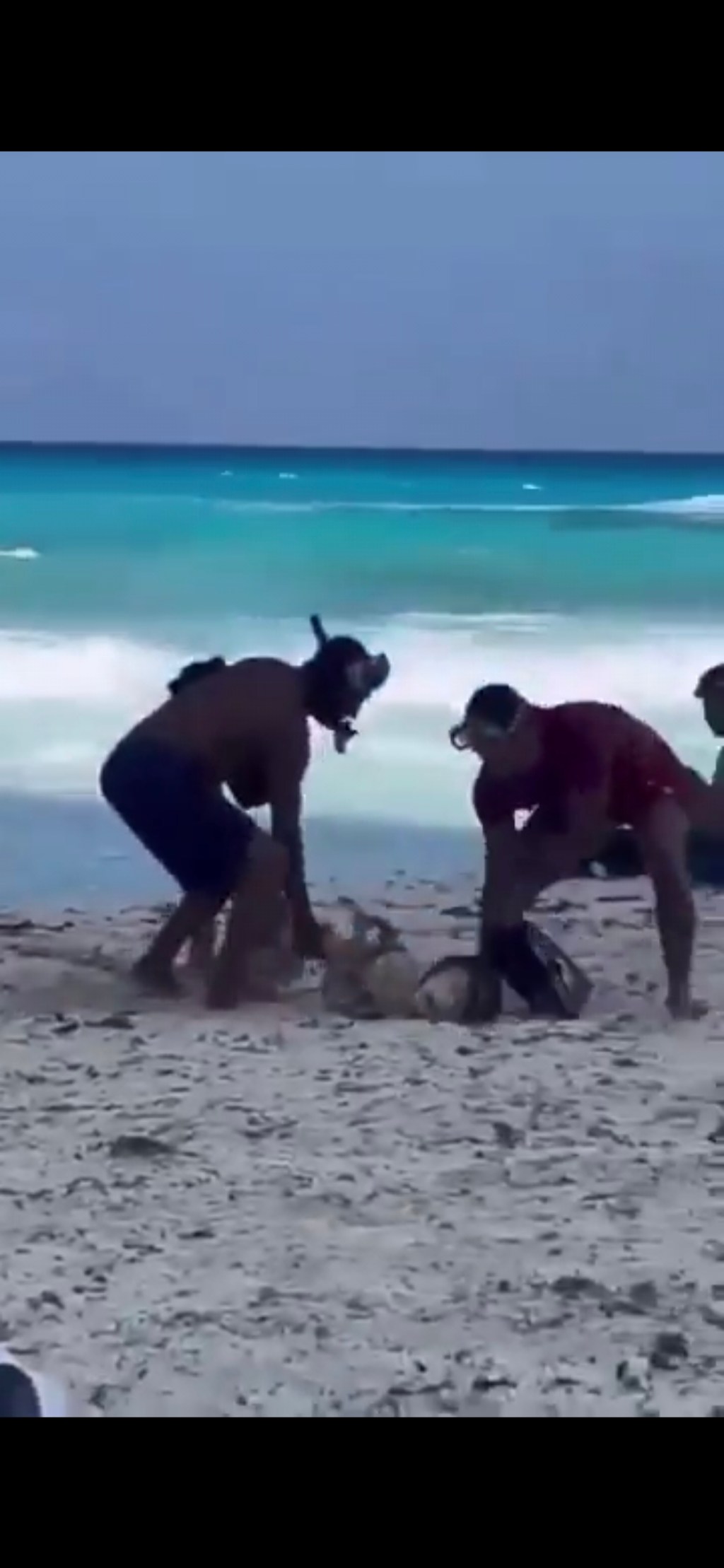 VIDEO RESCATAN CADÁVER DE JOVEN QUE SALVO A SU AMIGA, A EL SE LO COMIERON&nbsp;TIBURONES