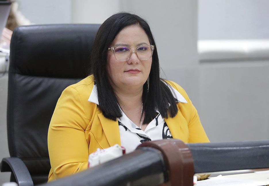 ES NECESARIO GARANTIZAR LOS DERECHOS DE PERSONAS INTERNADAS SIN SU CONSENTIMIENTO EN CASAS DE SALUD MENTAL O CLÍNICAS DE REHABILITACIÓN POR EL USO DE SUSTANCIAS PSICOACTIVAS: DIP. MARTHA PATRICIA&nbsp;ARADILLAS