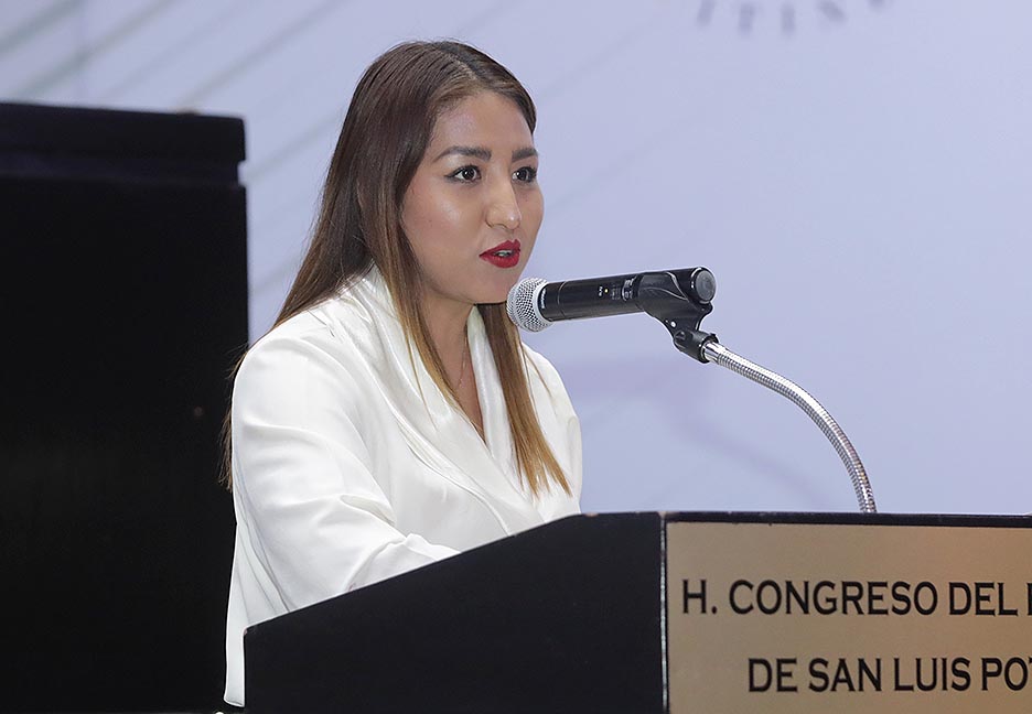 Iniciativa busca incorporar el término de autonomía&nbsp;reproductiva.