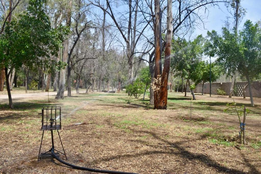 Dan mantenimiento integral al Parque de Morales para preservar uno de los pulmones de la&nbsp;ciudad