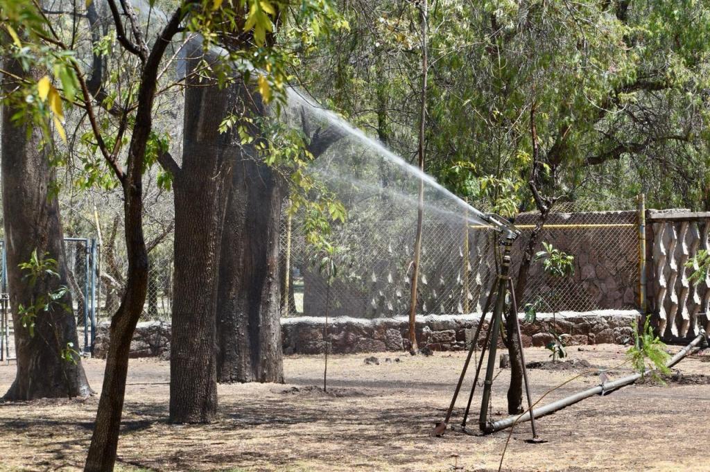 Gobierno de la Capital pone en marcha nuevo sistema de riego del emblemático jardín de&nbsp;Tequis