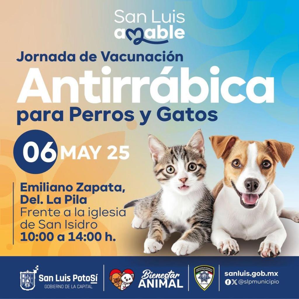 Gobierno de la Capital realiza jornada de vacunación antirrábica este martes en la Delegación La&nbsp;Pila