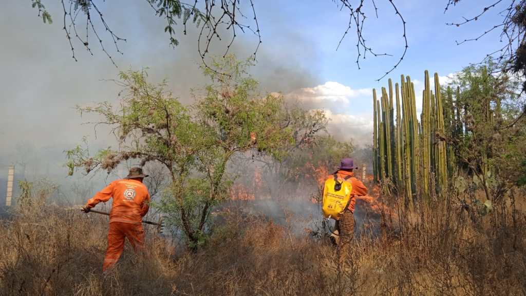 BRIGADISTAS COMBATEN INCENDIO DE PASTIZAL EN&nbsp;MEXQUITIC