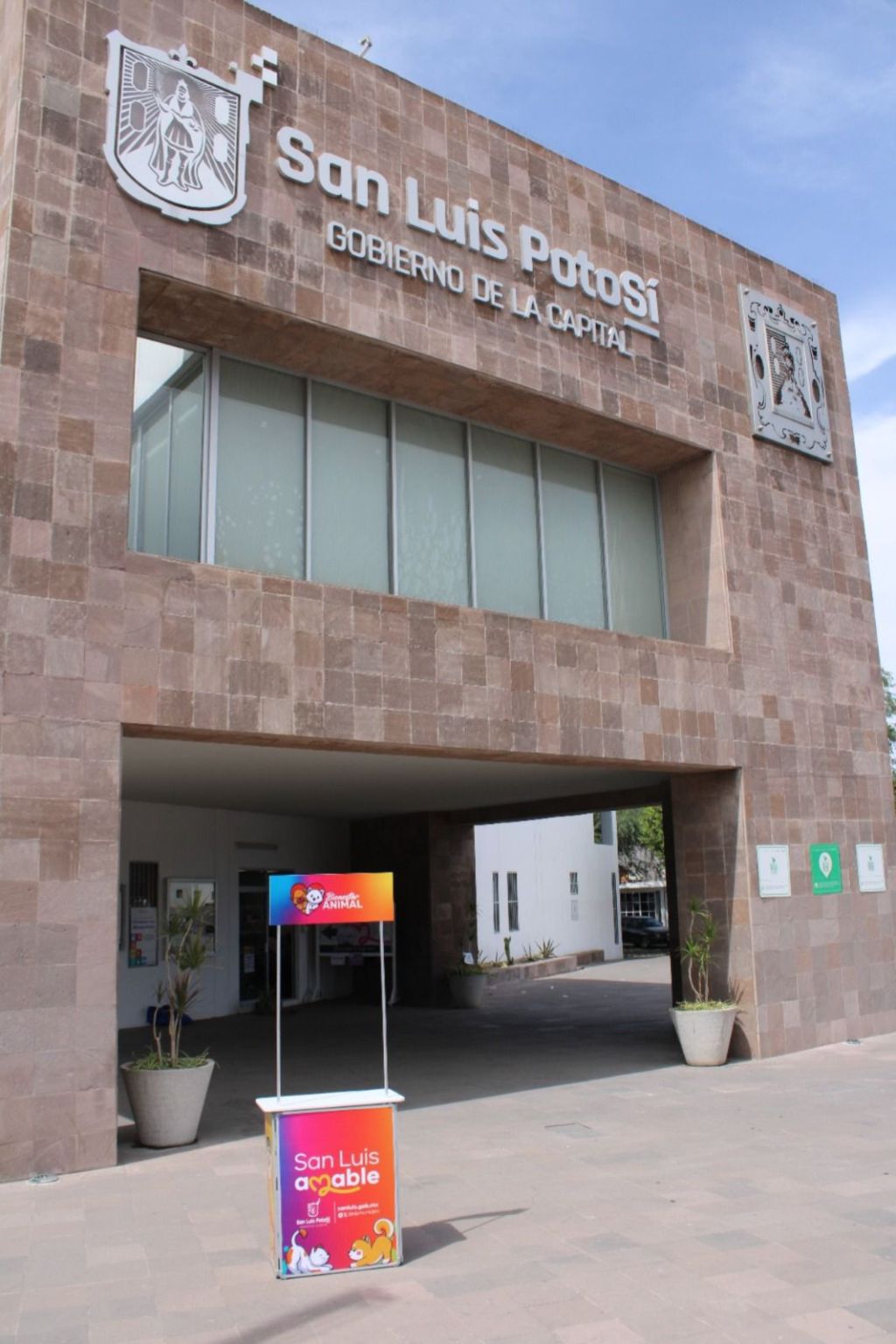 Se proyecta módulo itinerante del Gobierno de la Capital para denuncias por maltrato&nbsp;animal