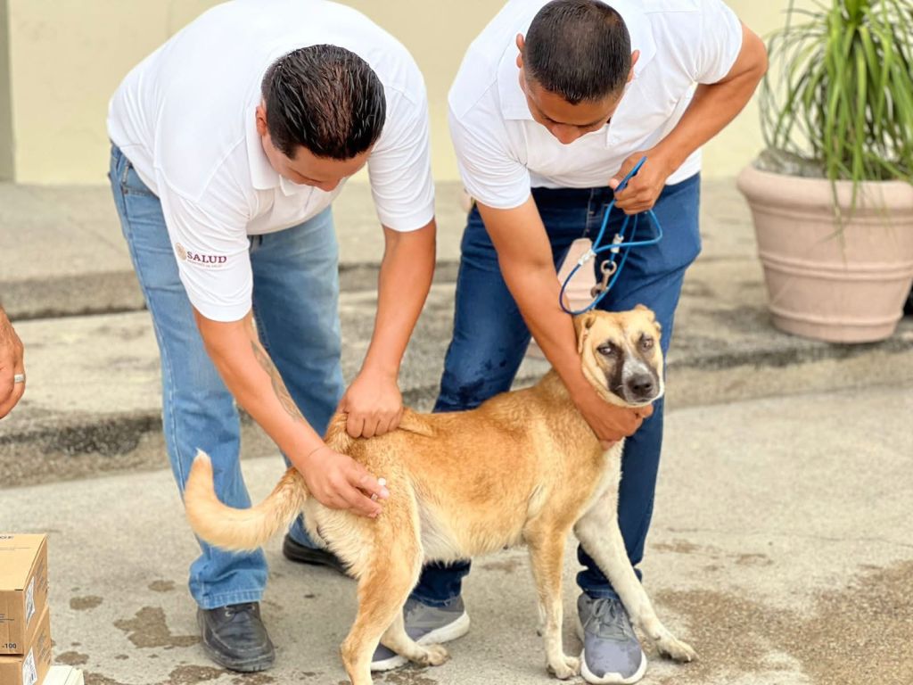 INICIA CAMPAÑA DE VACUNACIÓN&nbsp;ANTIRRÁBICA