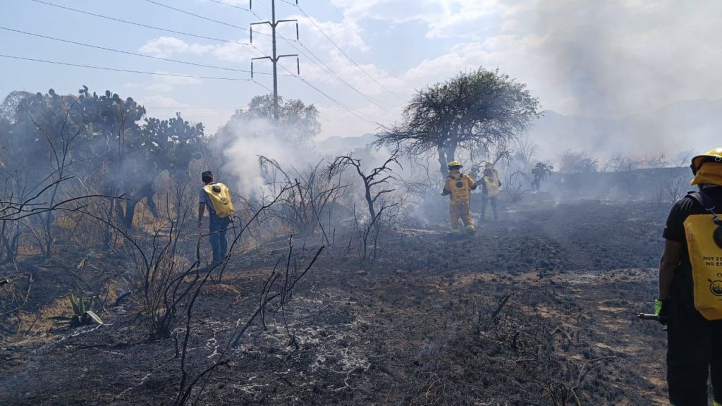 CUERPOS DE EMERGENCIA ATIENDEN INCENDIO DE&nbsp;PASTIZAL