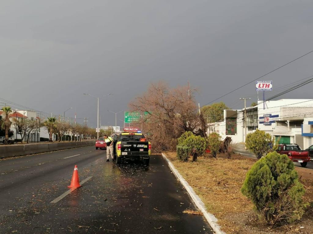 Gobierno Municipal, preparado para atender situaciones de emergencia por lluvias y fuertes&nbsp;vientos