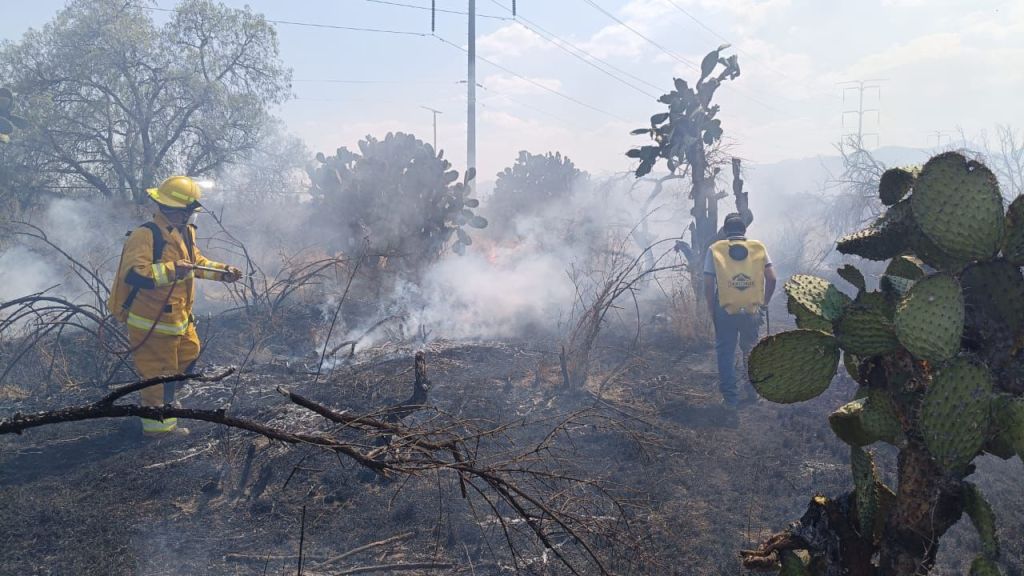 COMITÉ DEL MANEJO DEL FUEGO INFORMA QUE NO HAY INCENDIOS FORESTALES ACTIVOS EN LA&nbsp;ENTIDAD
