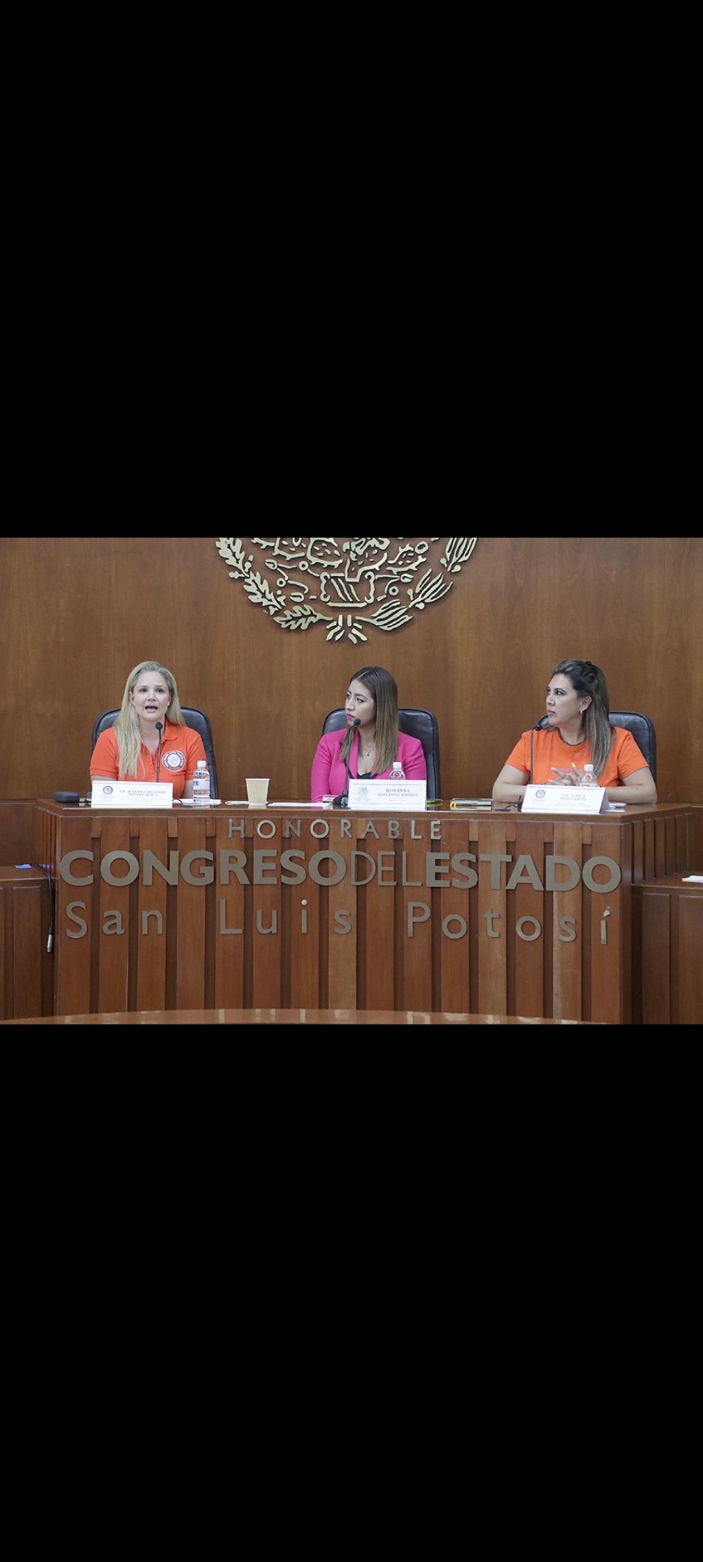 EL CONGRESO DEL ESTADO REALIZÓ LA MESA DE TRABAJO Y FORO “VIOLENCIA VICARIA, SU AUTONOMÍA, SANCIÓN, DERECHOS Y OBLIGACIONES”: DIP. ROXANNA HERNÁNDEZ RAMÍREZ SE BUSCA FORTALECER Y ACTUALIZAR LAS ACCIONES CONTRA LA VIOLENCIA VICARIA Y LA CAPACITACIÓN DE FUNCIONARIOS ENCARGADOS DE LA PROCURACIÓN DE JUSTICIA Y DE ATENCIÓN A VÍCTIMAS EL FRENTE NACIONAL CONTRA LA VIOLENCIA VICARIA TIENE UN REGISTRO DE 4 MIL 802 MUJERES EN EL PAÍS QUE VIVEN VIOLENCIA VICARIA: JENNIFER&nbsp;SEIFERT