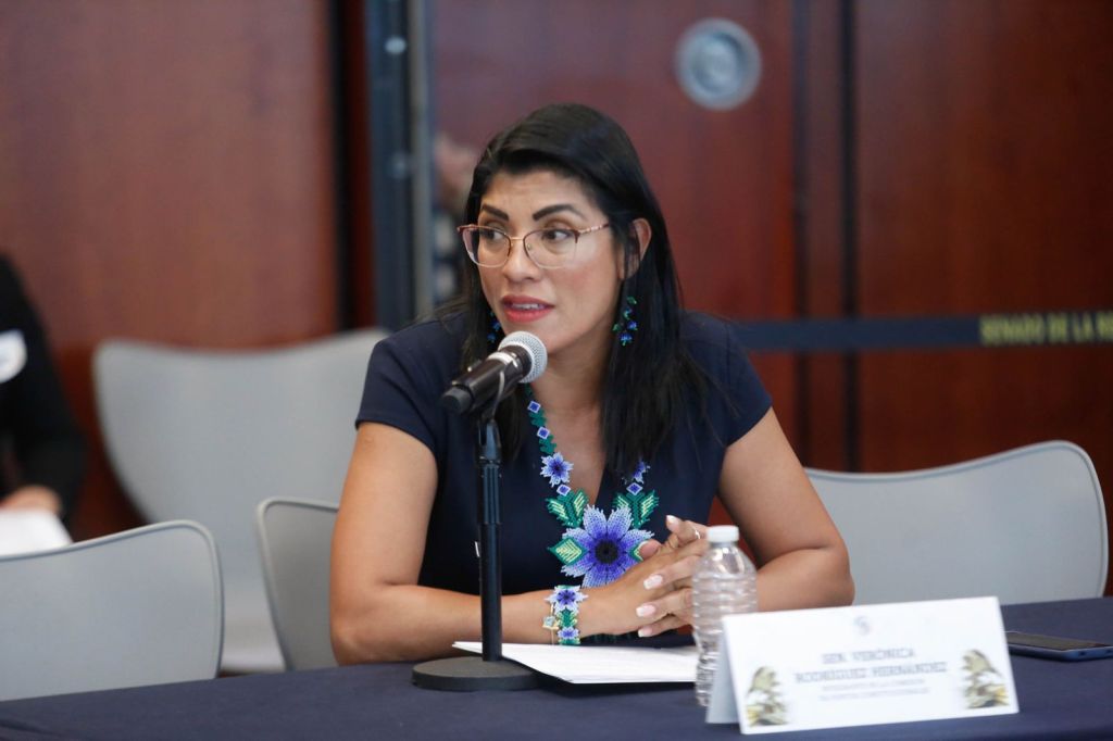 “Ley Censura” dará poder absoluto al Gobierno sobre la libertad de expresión en el país, advierte&nbsp;PAN