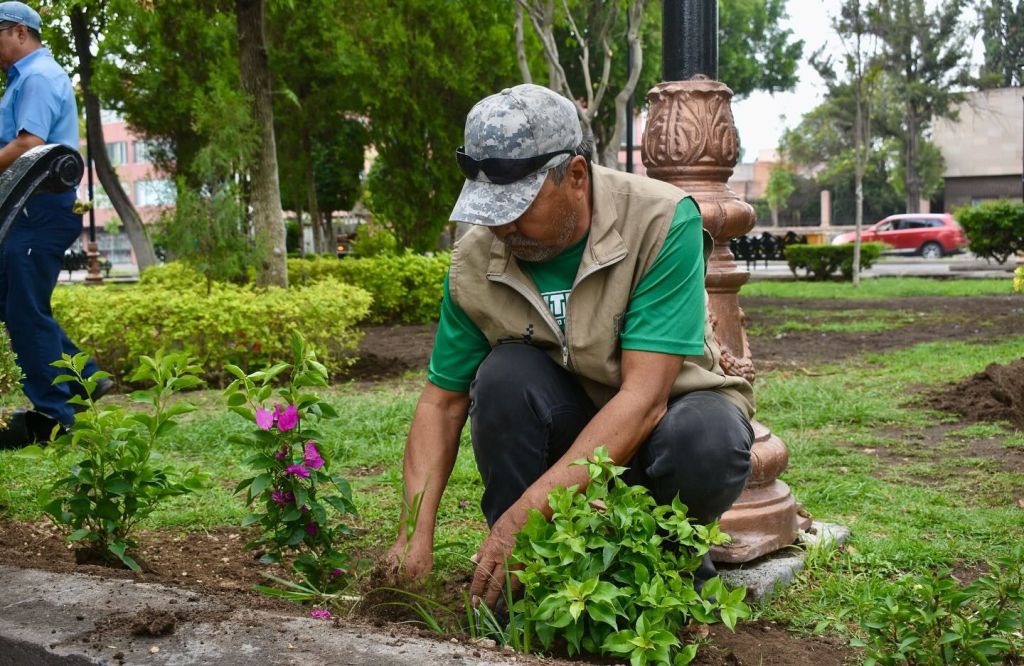 Gobierno de la Capital realiza rehabilitación integral al Jardín de Tequis: se coloca nuevo pasto y plantas de&nbsp;ornato