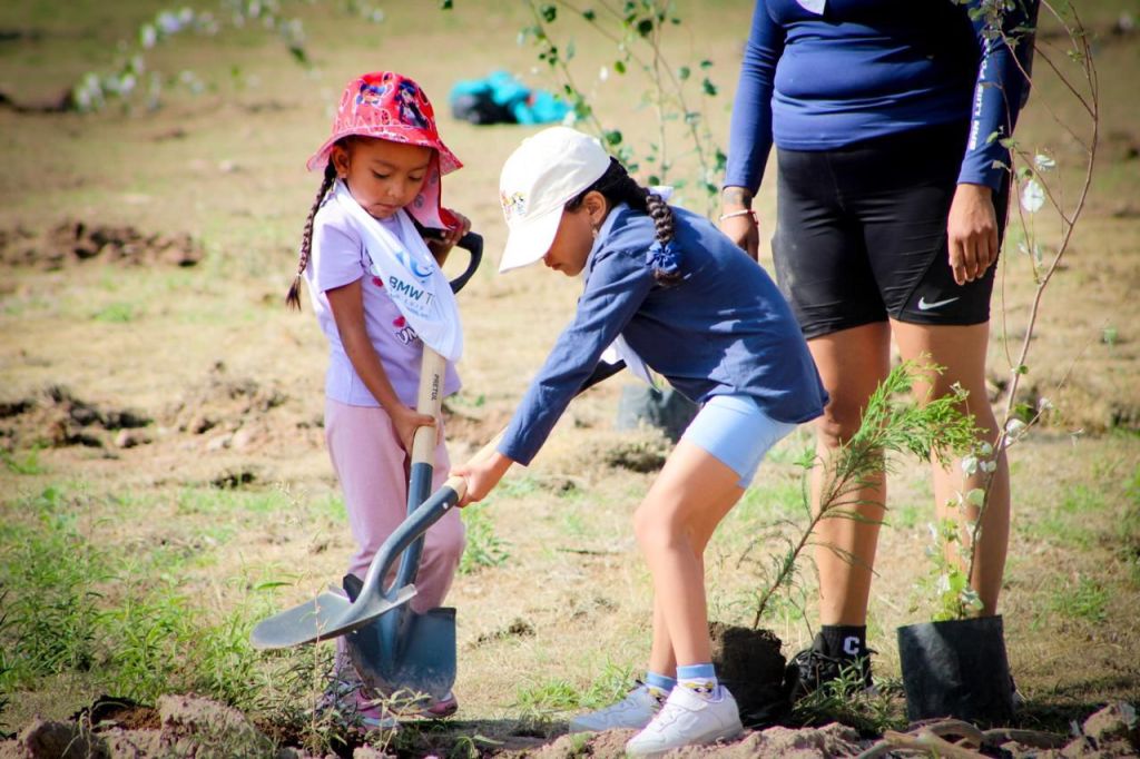 BMW REFORESTA PARQUE&nbsp;TANGAMANGA