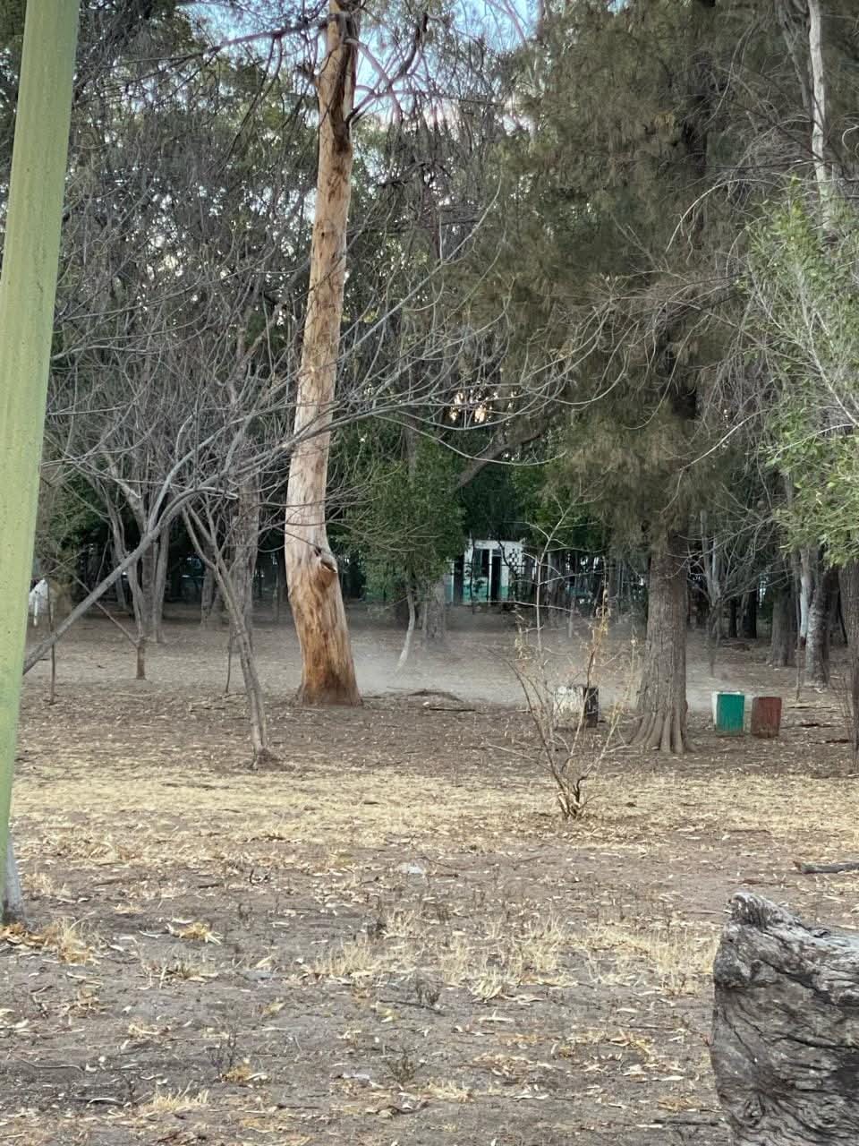 SEDUVOP SOLICITARÁ REVISIÓN A FALLO JUDICIAL QUE DETUVO OBRAS EN EL PARQUE DE&nbsp;MORALES