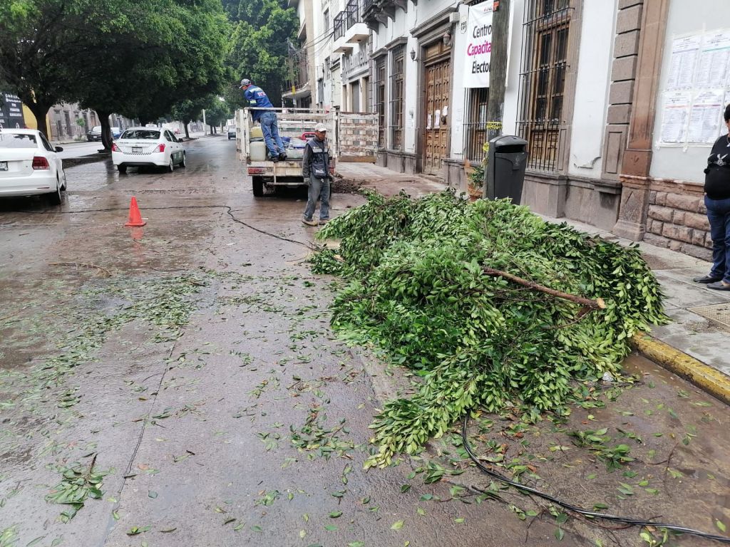 Gobierno de la Capital se mantiene en alerta permanente por lluvias y atiende reportes en diversos puntos de la&nbsp;ciudad