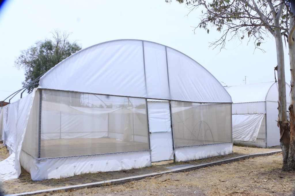 VILLA DE POZOS RESCATARÁ ÁREAS VERDES EN EL&nbsp;MUNICIPIO