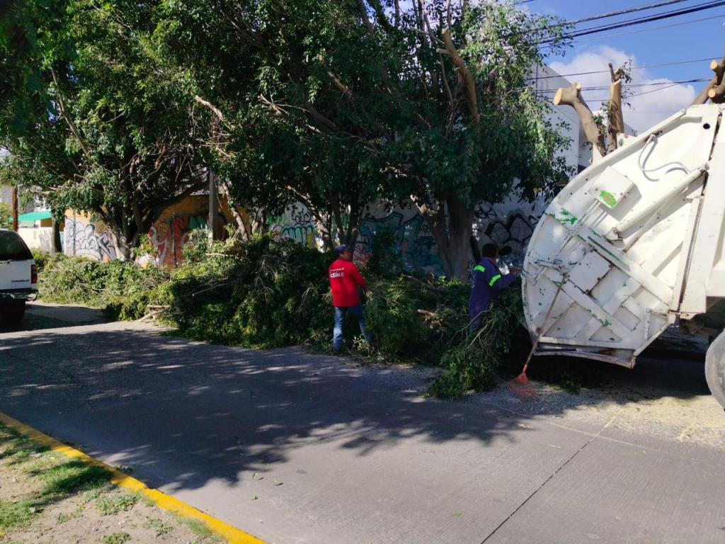 Gobierno de la Capital refuerza labores de mantenimiento urbano en beneficio de la&nbsp;ciudadanía