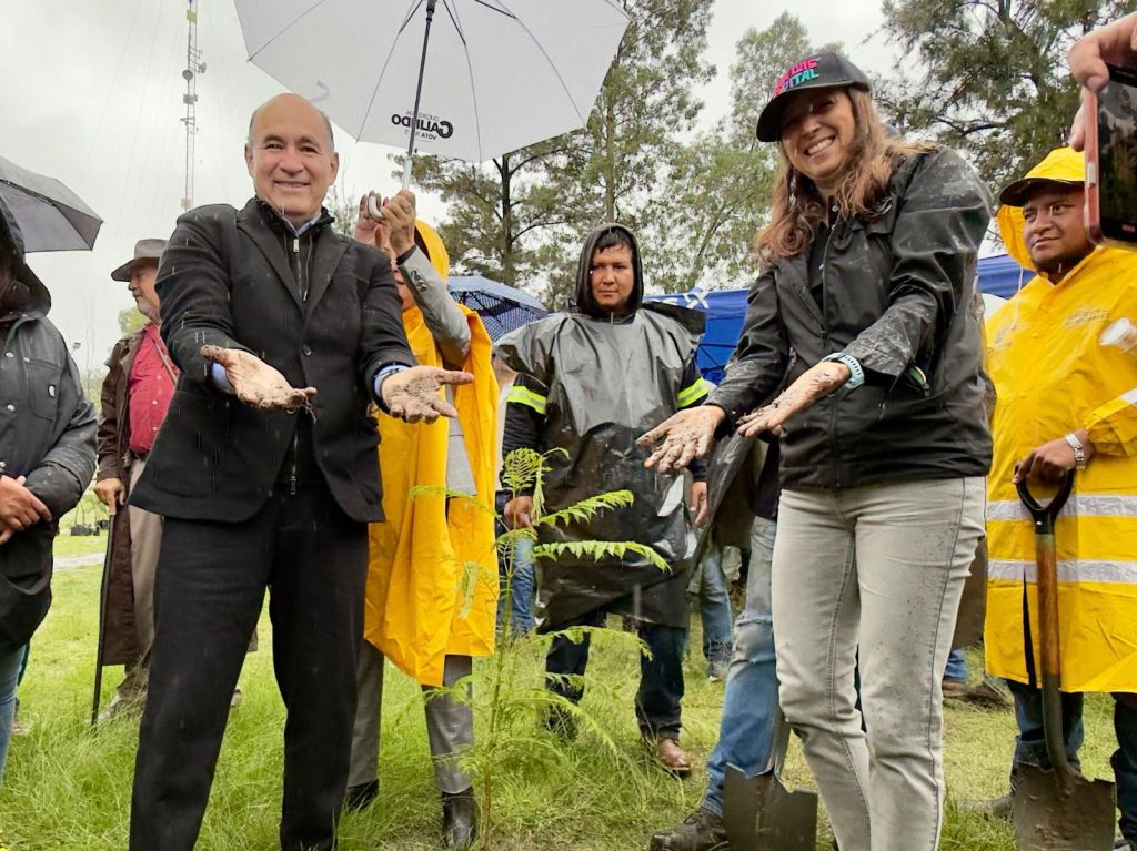 Gobierno de la Capital e iniciativa privada reforestan La Garita en jornada de Capital al&nbsp;100