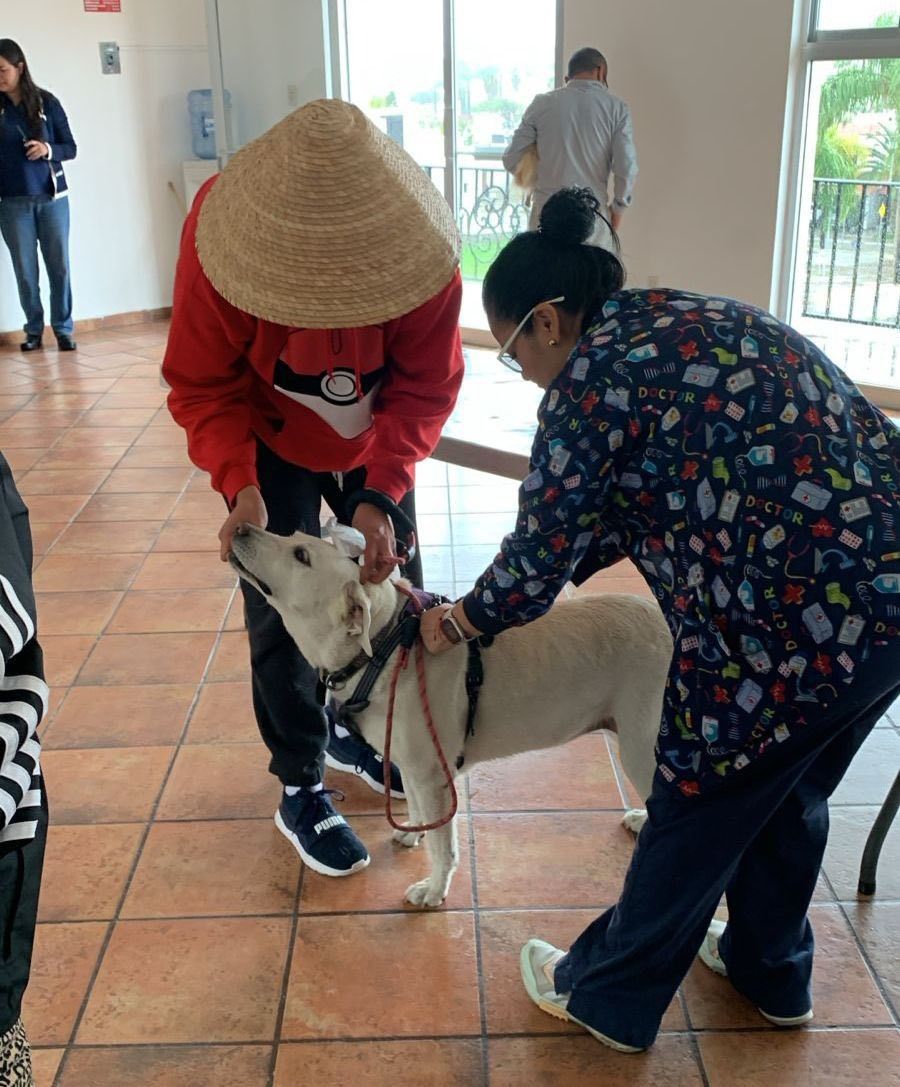 Gobierno de la Capital realiza jornada de vacunación antirrábica en el fraccionamiento&nbsp;Miravalle