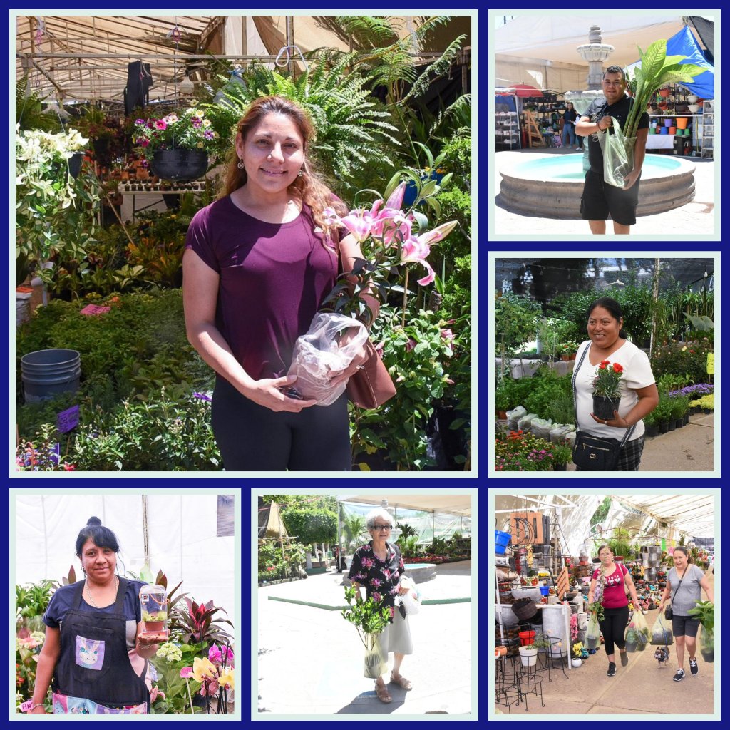 VISITANTES A SOLEDAD DISFRUTAN ÚLTIMA SEMANA DE LA FERIA DE LAS FLORES&nbsp;2025