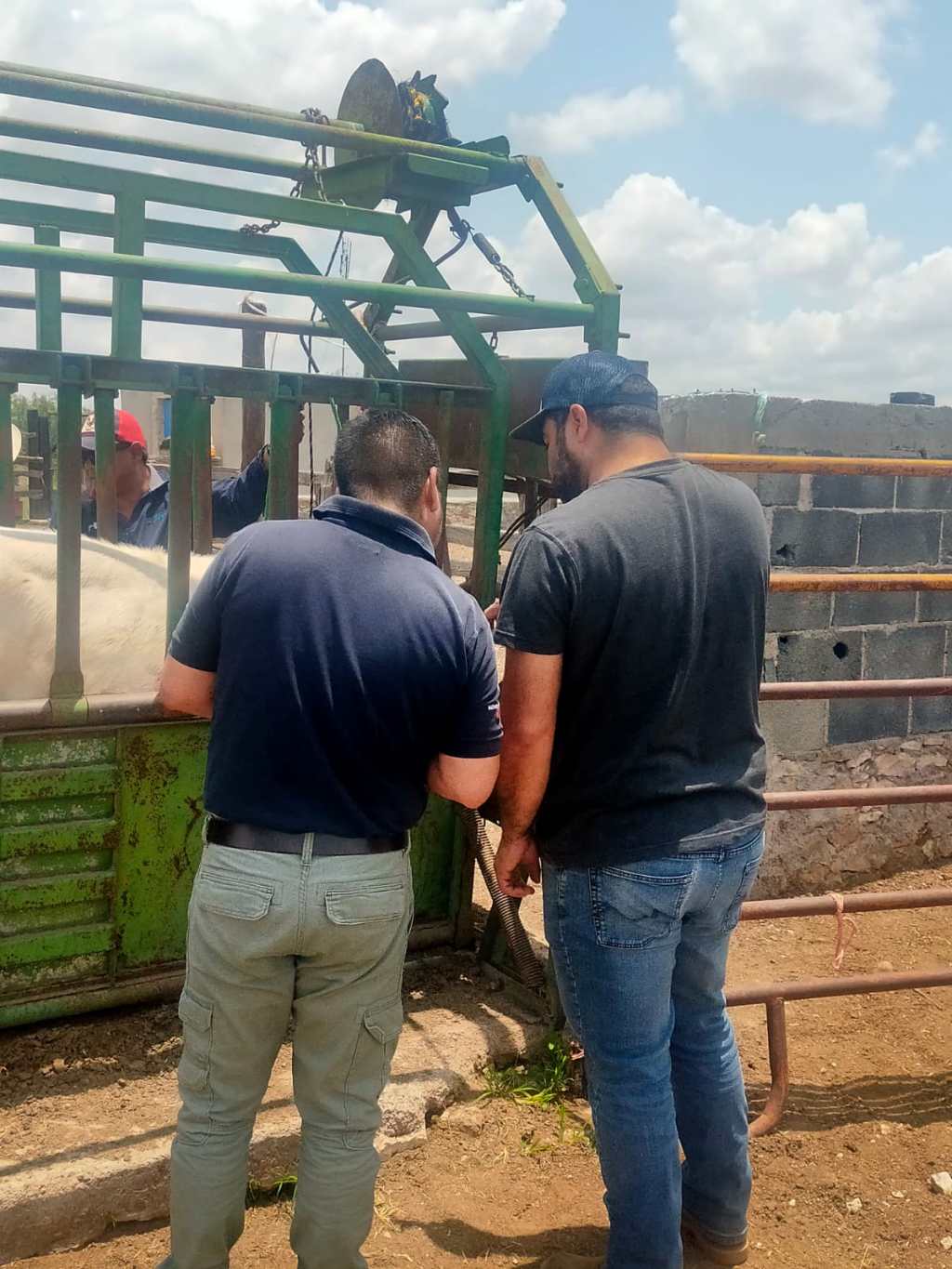 GANADEROS SON CAPACITADOS CONTRA PLAGAS Y&nbsp;ENFERMEDADES