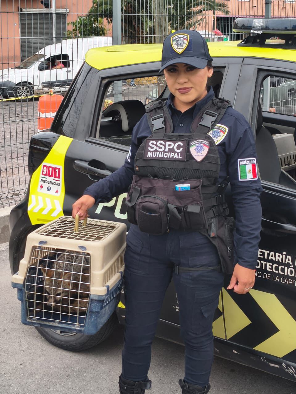 Oficiales de Guardia Municipal rescatan y liberan a fauna silvestre que ingresó a una vivienda en&nbsp;Morales