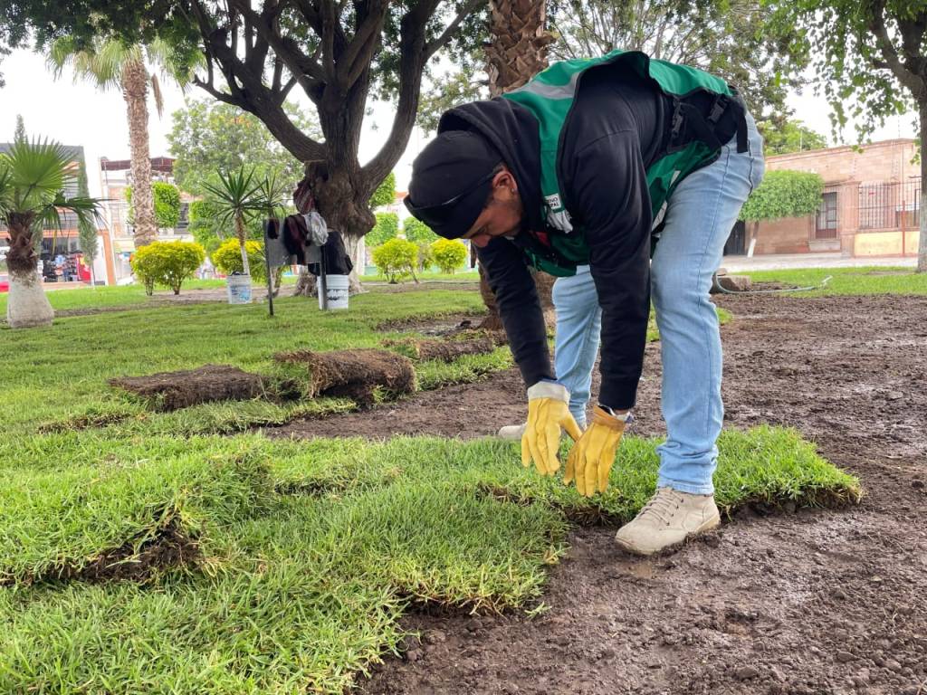PLAZA PRINCIPAL DE SOLEDAD RECIBE TRABAJOS DE EMBELLECIMIENTO PERMANENTE