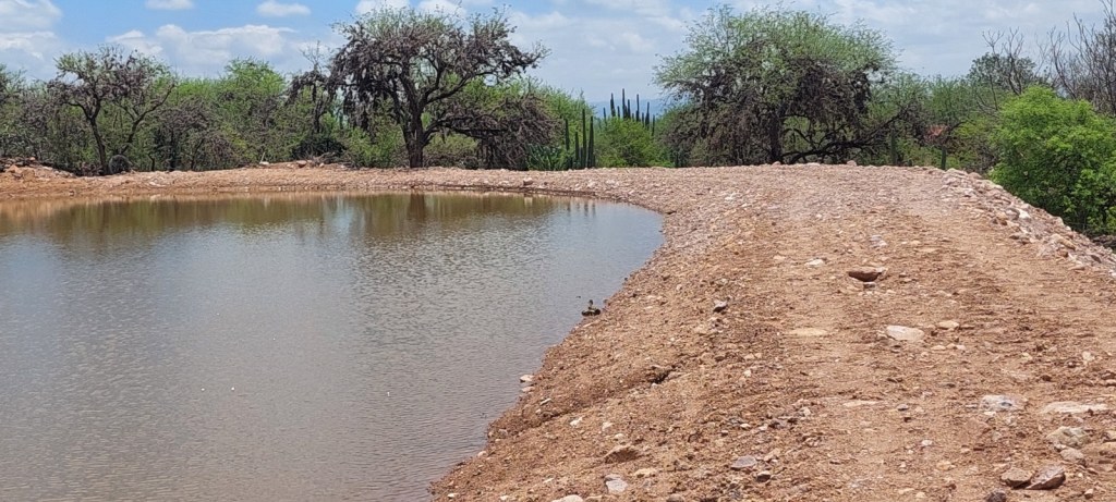 OBRAS ESTATALES PERMITIERON CAPTAR AGUA DE LLUVIA EN APOYO AL&nbsp;CAMPO