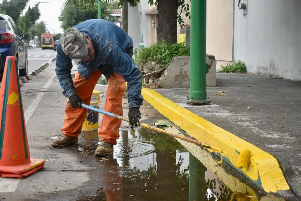 Servicios Municipales avanza en la renovación y regeneración urbana de San Luis&nbsp;Capital