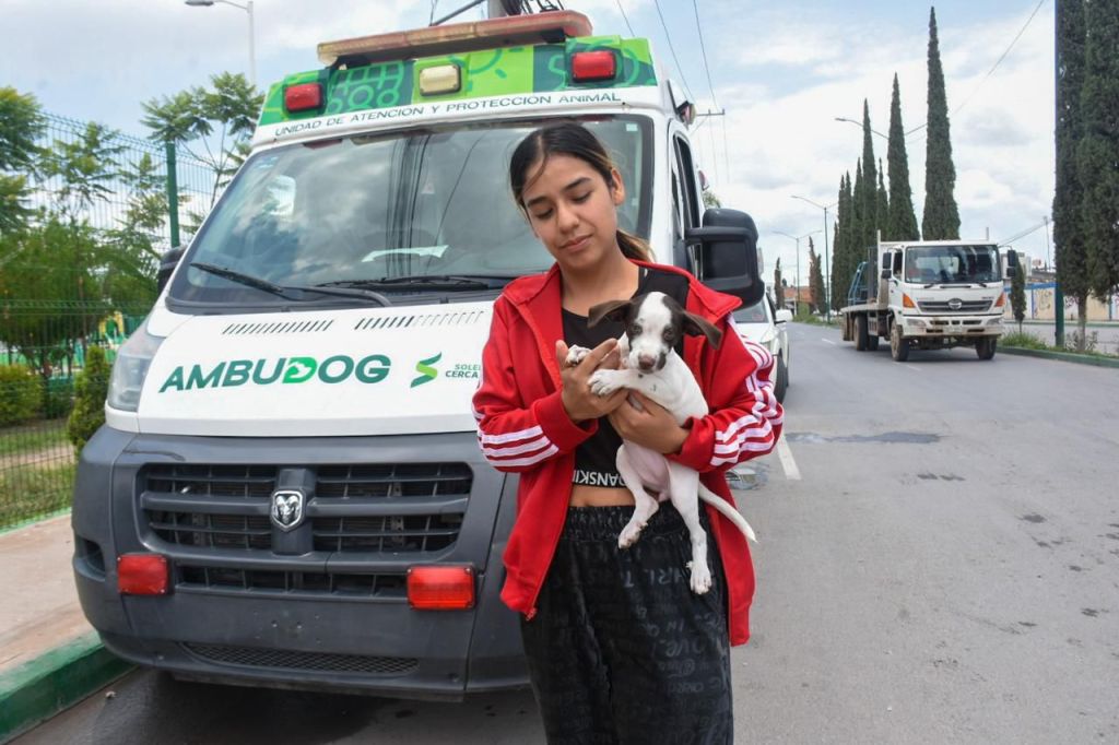 CON ATENCIÓN GRATUITA Y DIARIA, AMBUDOG GARANTIZA&nbsp;BIENEST