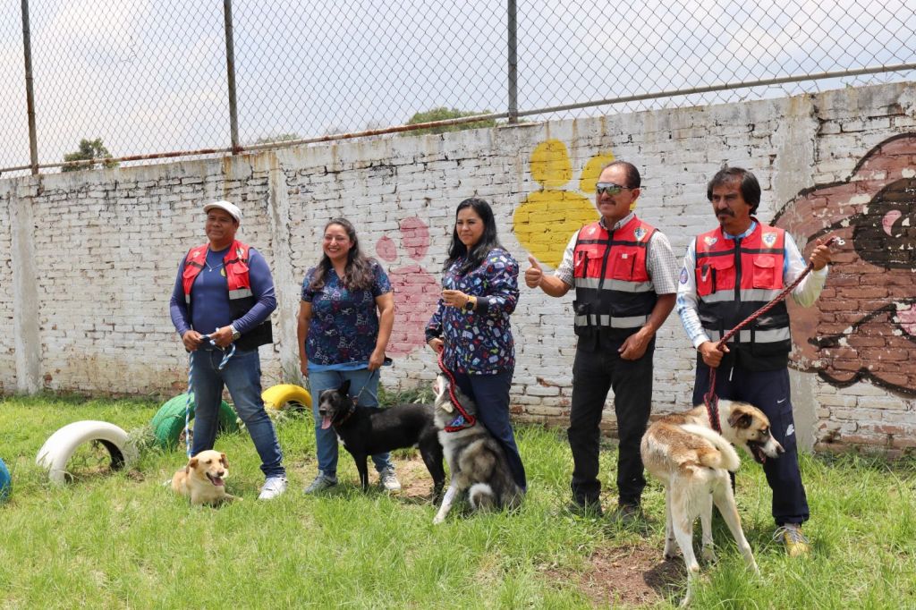 Se suma Gobierno Municipal de SLP a la conmemoración del Día Mundial del&nbsp;Perro