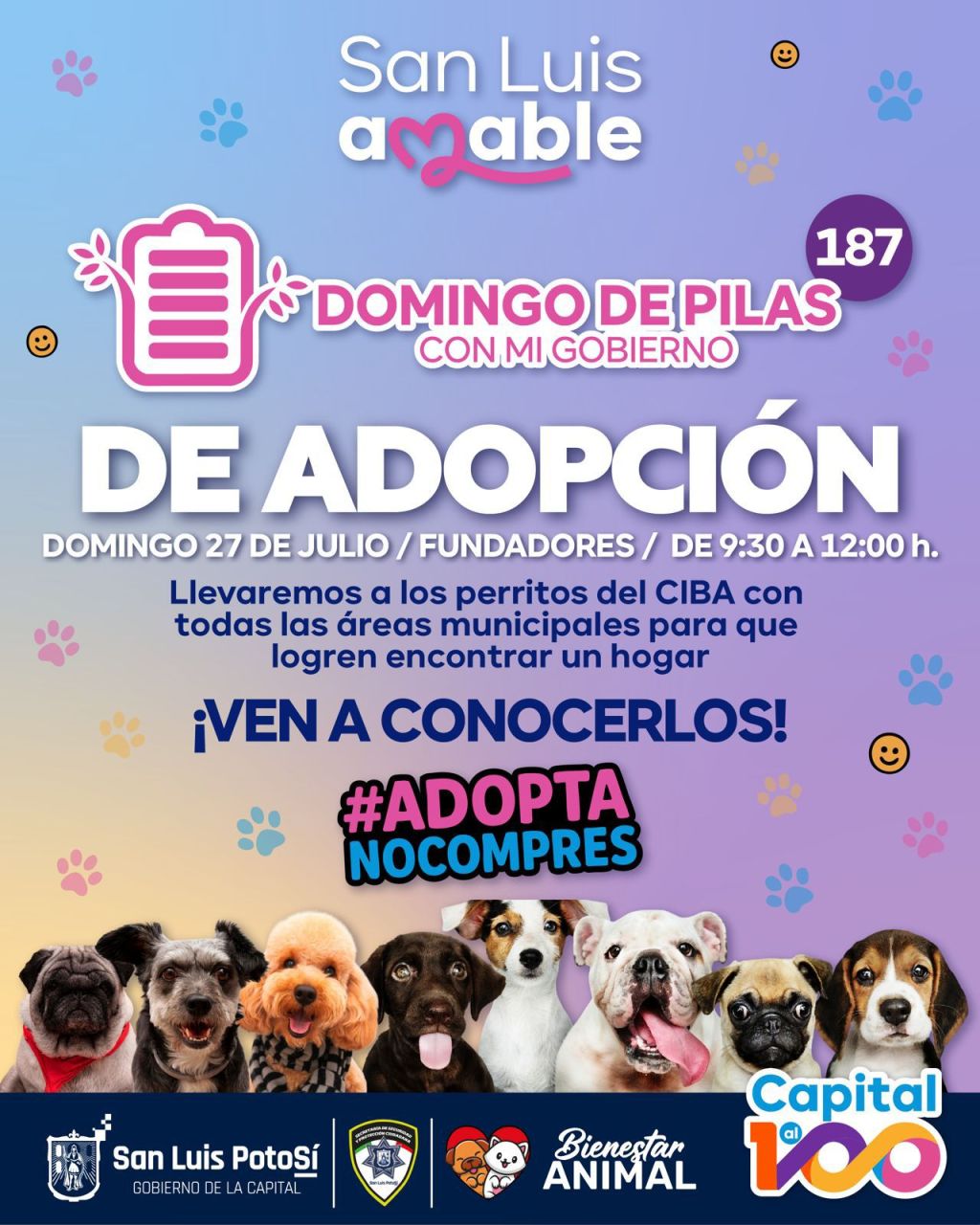 El próximo 27 de julio, el Gobierno de la Capital invita a la ciudadanía al “Domingo de Pilas de&nbsp;Adopción”
