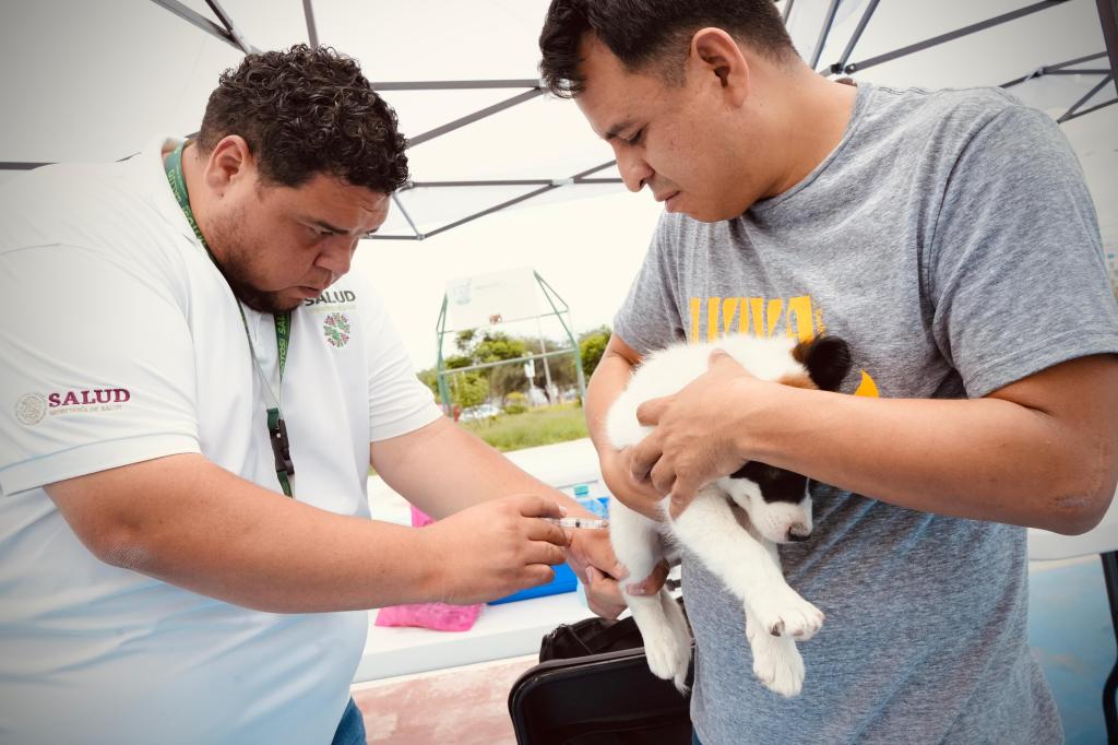 VILLA DE POZOS AVANZA EN SALUD PÚBLICA CON VACUNACIÓN&nbsp;ANTIRRÁBICA