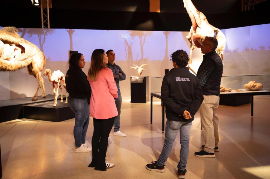 BODY WORLDS: ANIMAL INSIDE OUT, 2X1 EN SUS ÚLTIMAS&nbsp;SEMANAS