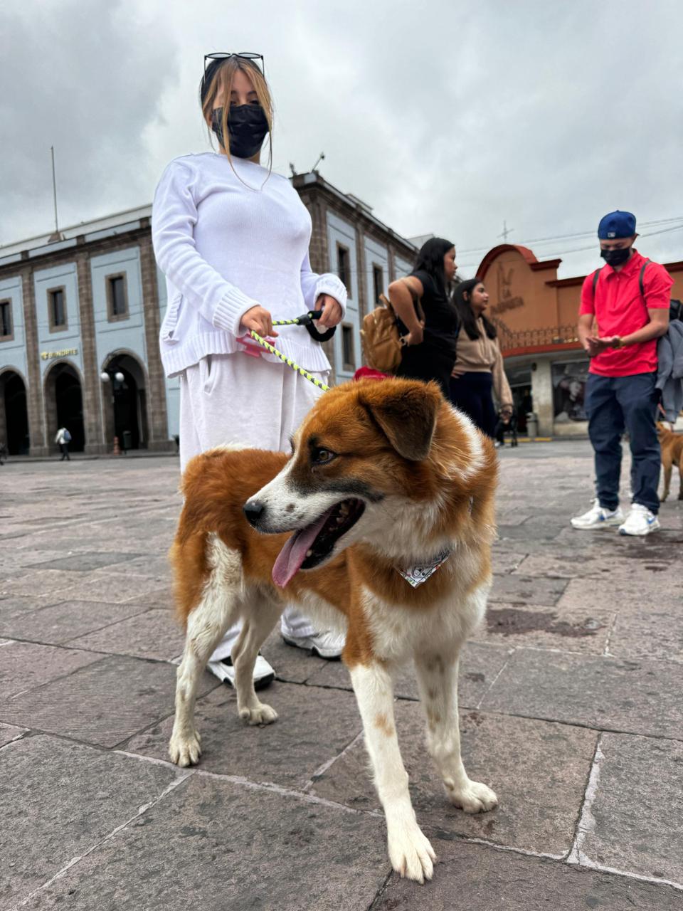 Becarios del programa de Estímulos a la Educación Superior se suman a la campaña #AdoptaNoCompres del Gobierno&nbsp;Municipal