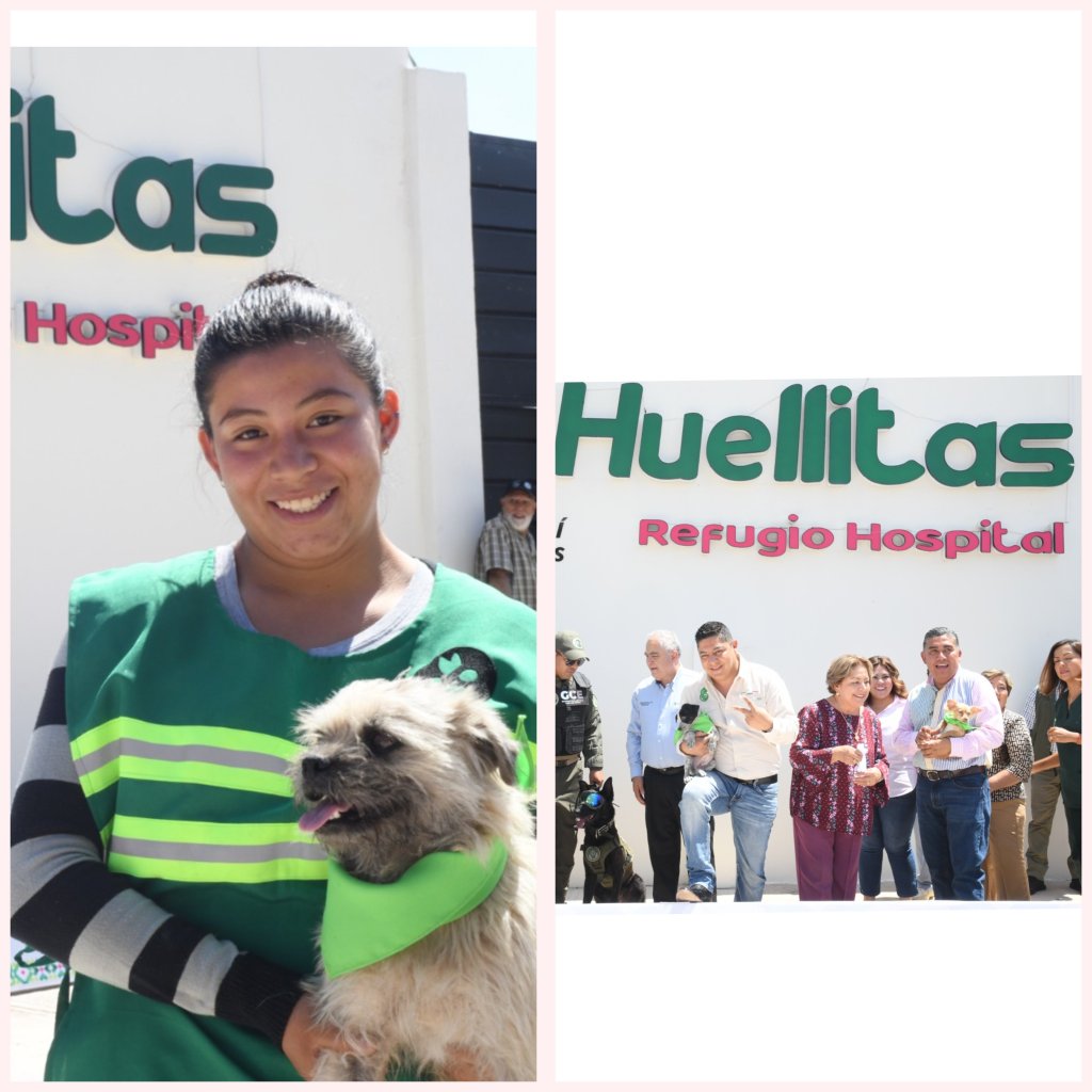 REFUGIO ANIMAL EN SOLEDAD, UN RESPIRO PARA ASOCIACIONES Y FAMILIAS QUE DEMANDAN TRATO DIGNO A&nbsp;MASCOTAS