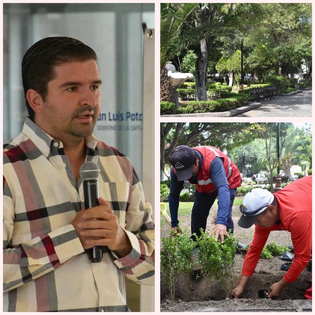 Embellecen Jardín de Tequis y refuerzan seguridad en el Centro&nbsp;Histórico