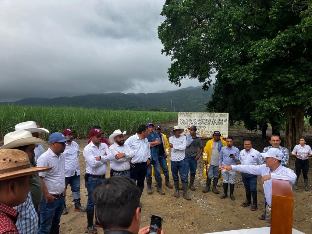 CAÑEROS DE LA HUASTECA RECIBEN APOYO SIN&nbsp;LÍMITES